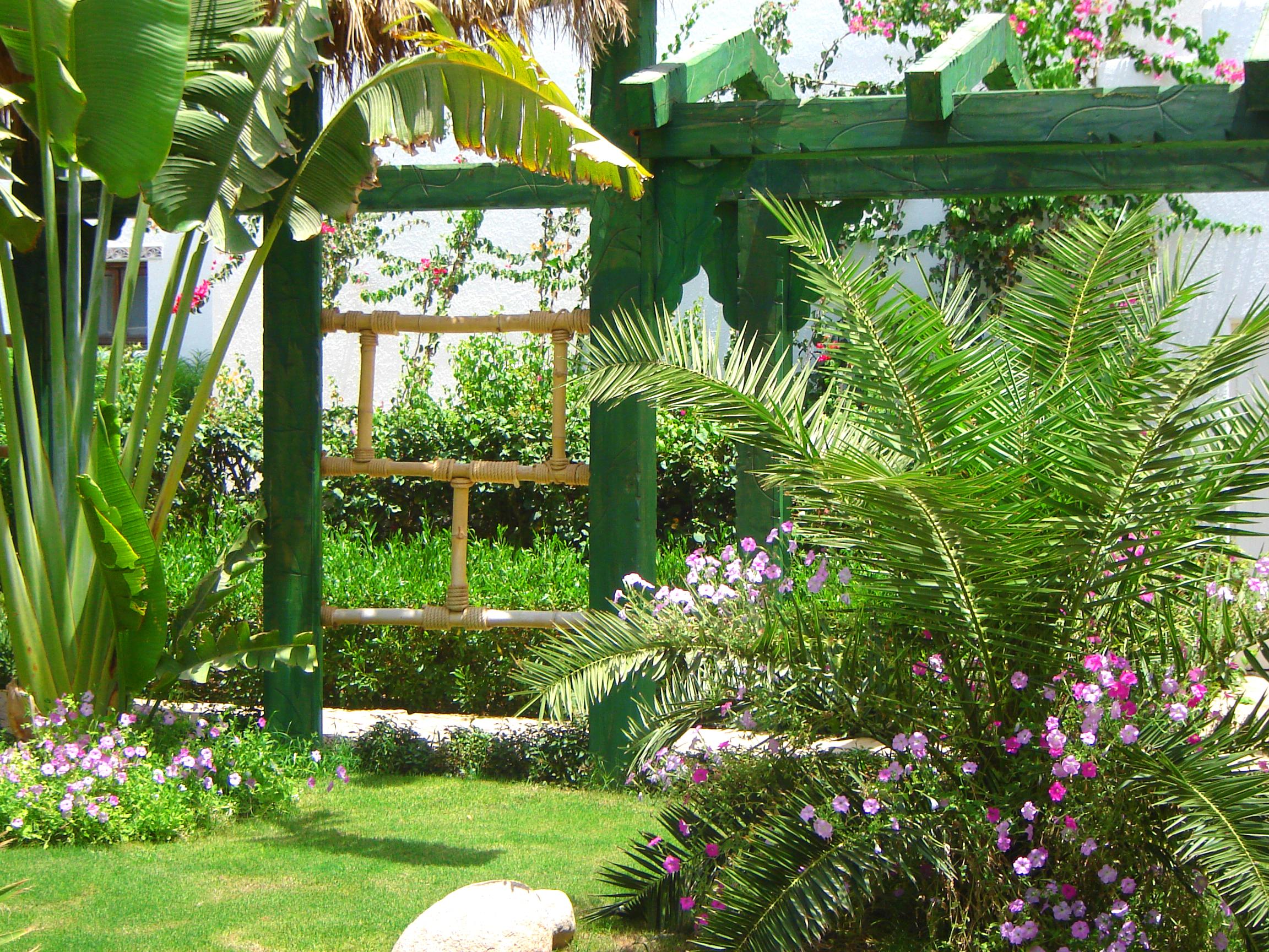 Delta Sharm Resort ,Official Web, Delta Rent, Sharm El Sheikh, South Sinai, Egypt Sharm El Sheikk Exterior foto